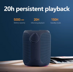 40W Speaker